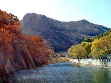 澳门精准正版免费大全14年新，雨刮器异响